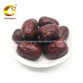 Vacuum Fried Red Date Chips Bulk Price